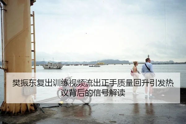 樊振东复出训练视频流出正手质量回升引发热议背后的信号解读 - AOA SPORTS